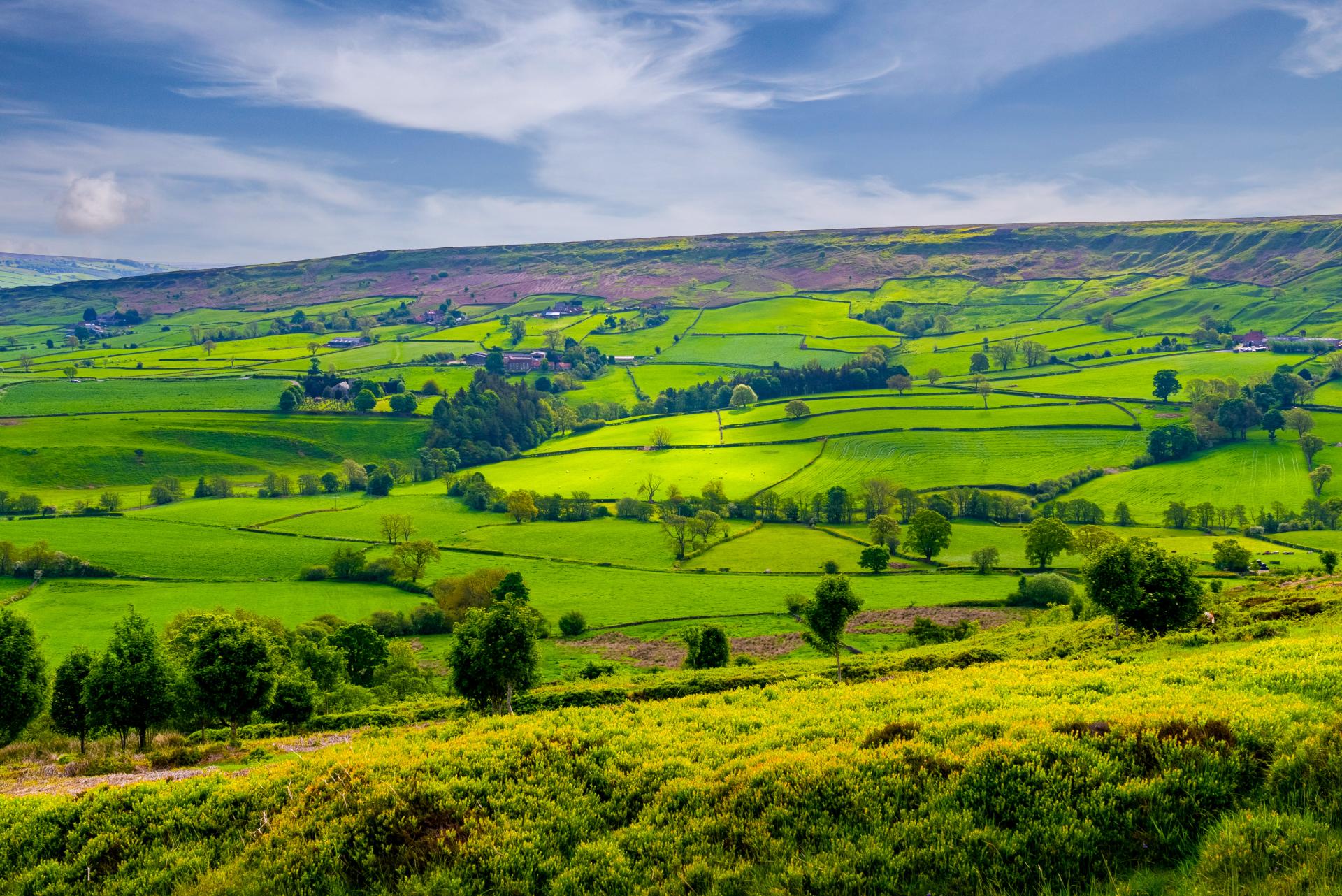 Rolling green countryside with patchwork fields and hedgerows