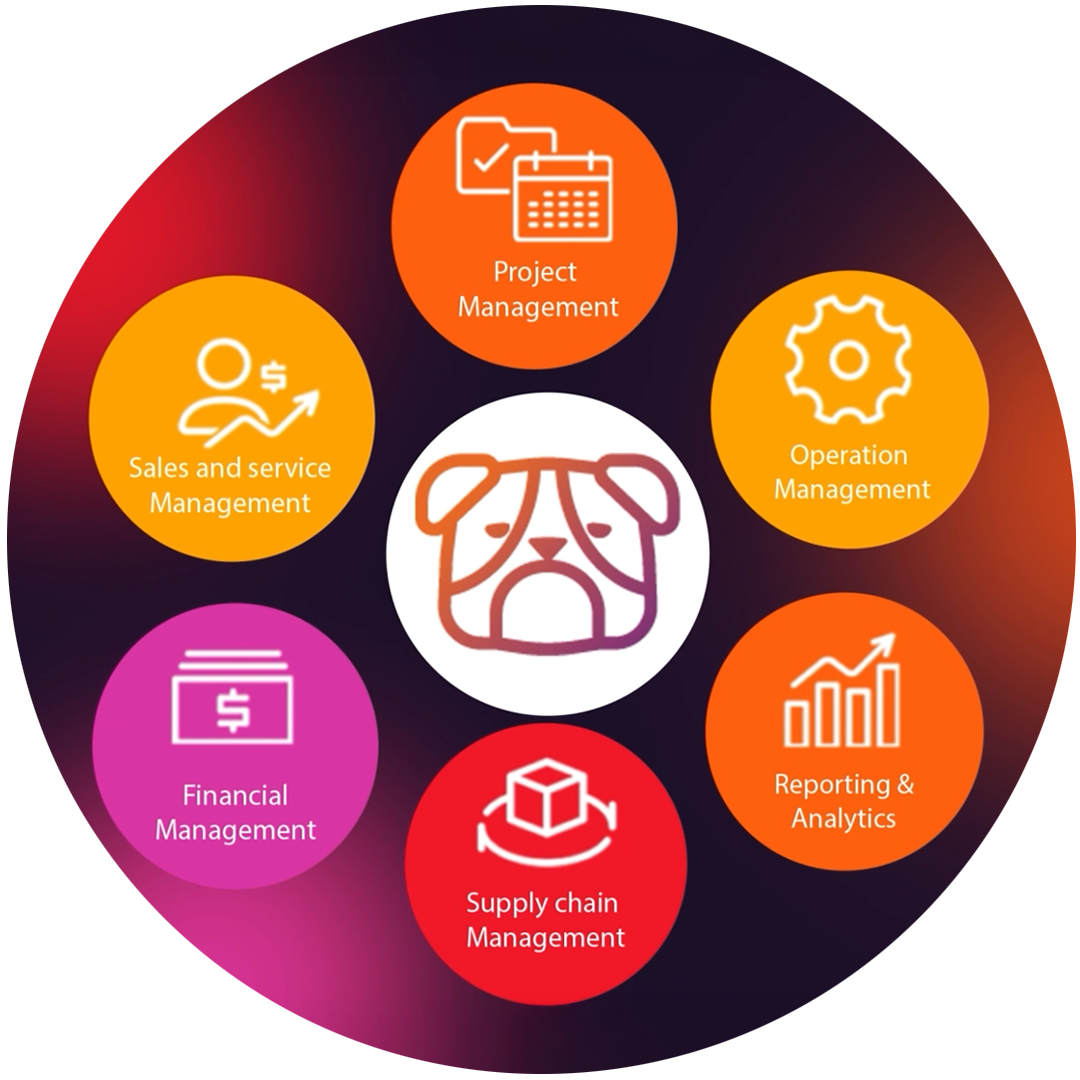 Business Central main features: project management, operation management, reporting and analytics, supply chain management, financial management, and sales and service management