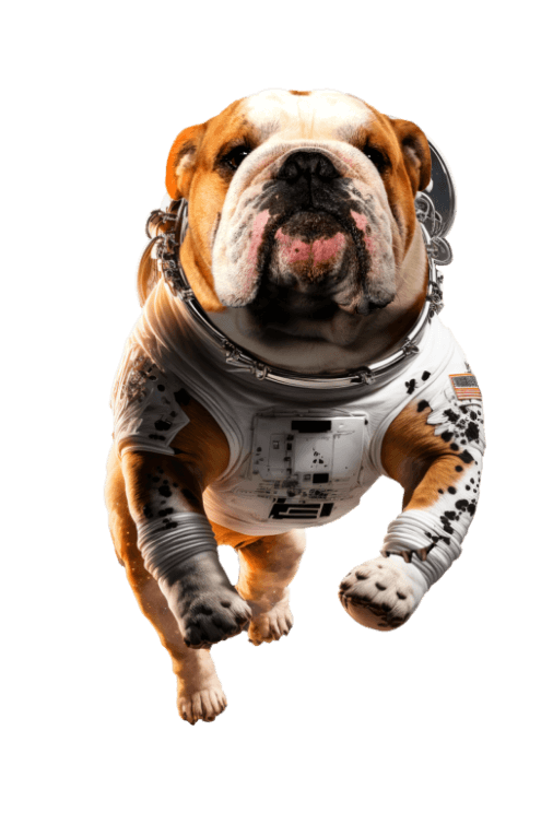 Trevor, the ES Systems bulldog mascot, in a spacesuit